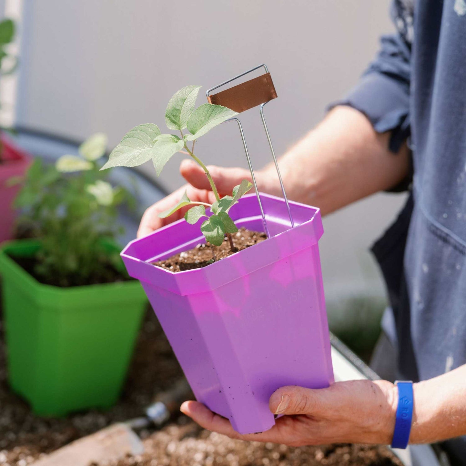 Garden Supplies