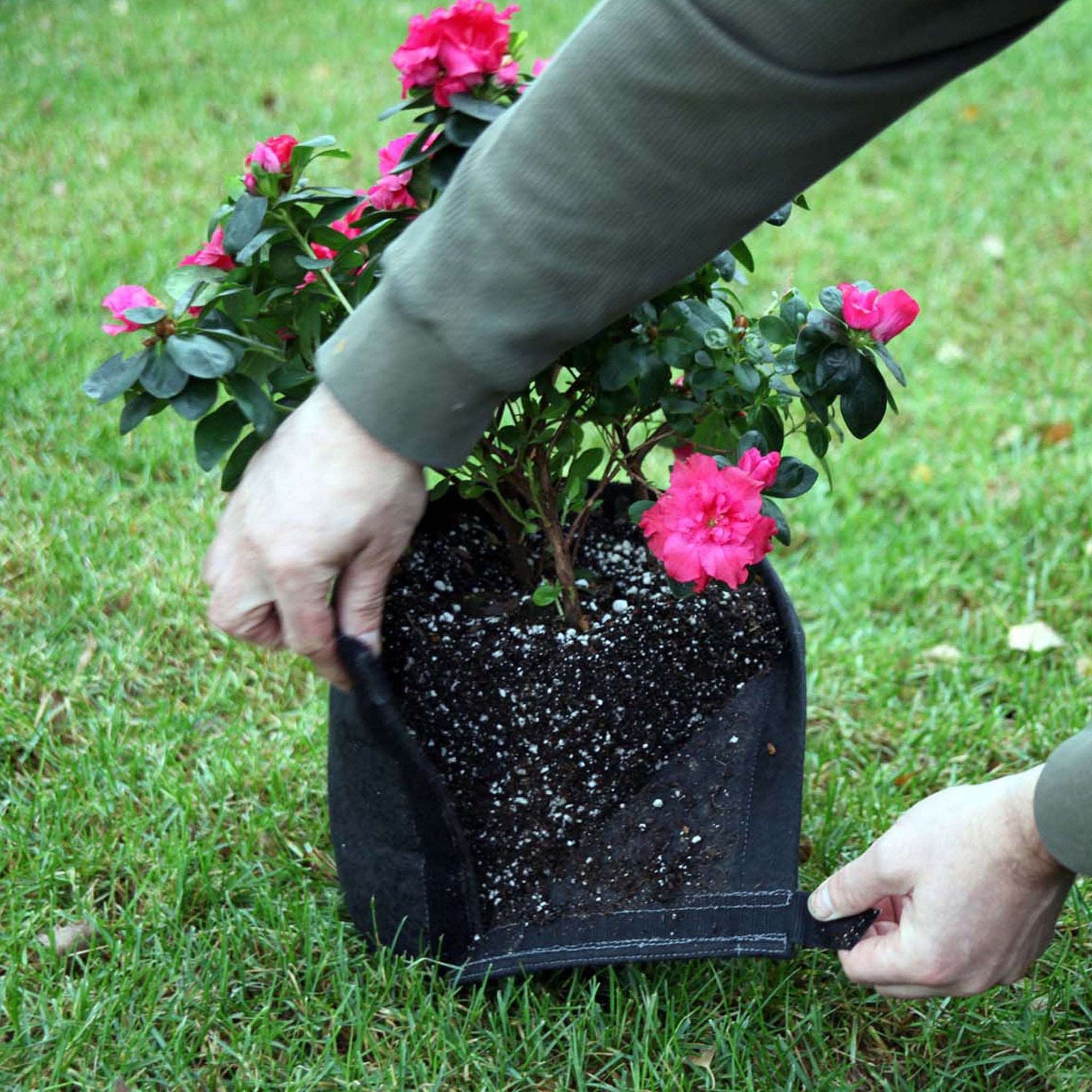 GeoPot Velcro Transplanter Grow Bags - Black
