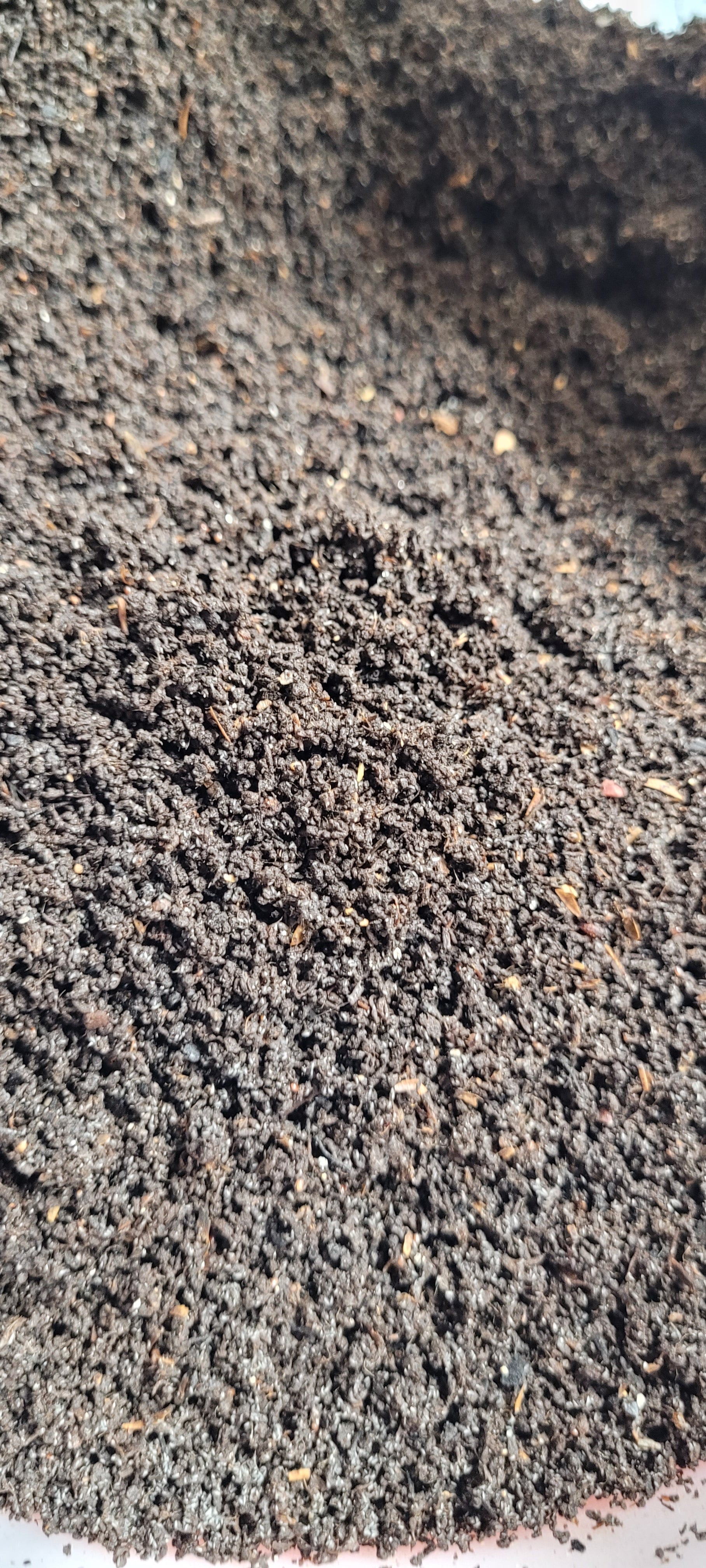 Fresh Premium Worm Castings