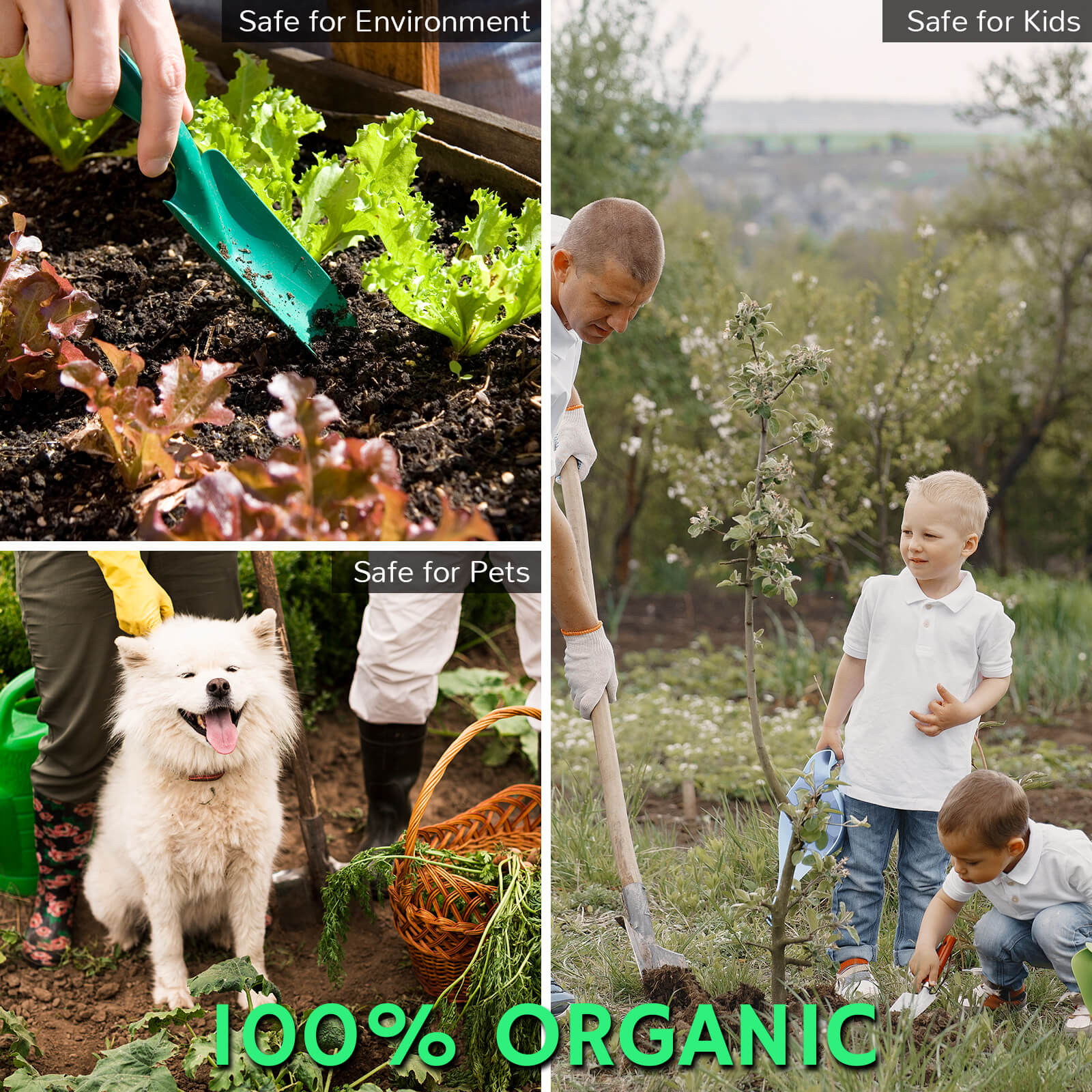 Revive Magic Compost Starter 1 Pack (for Airthereal composters)