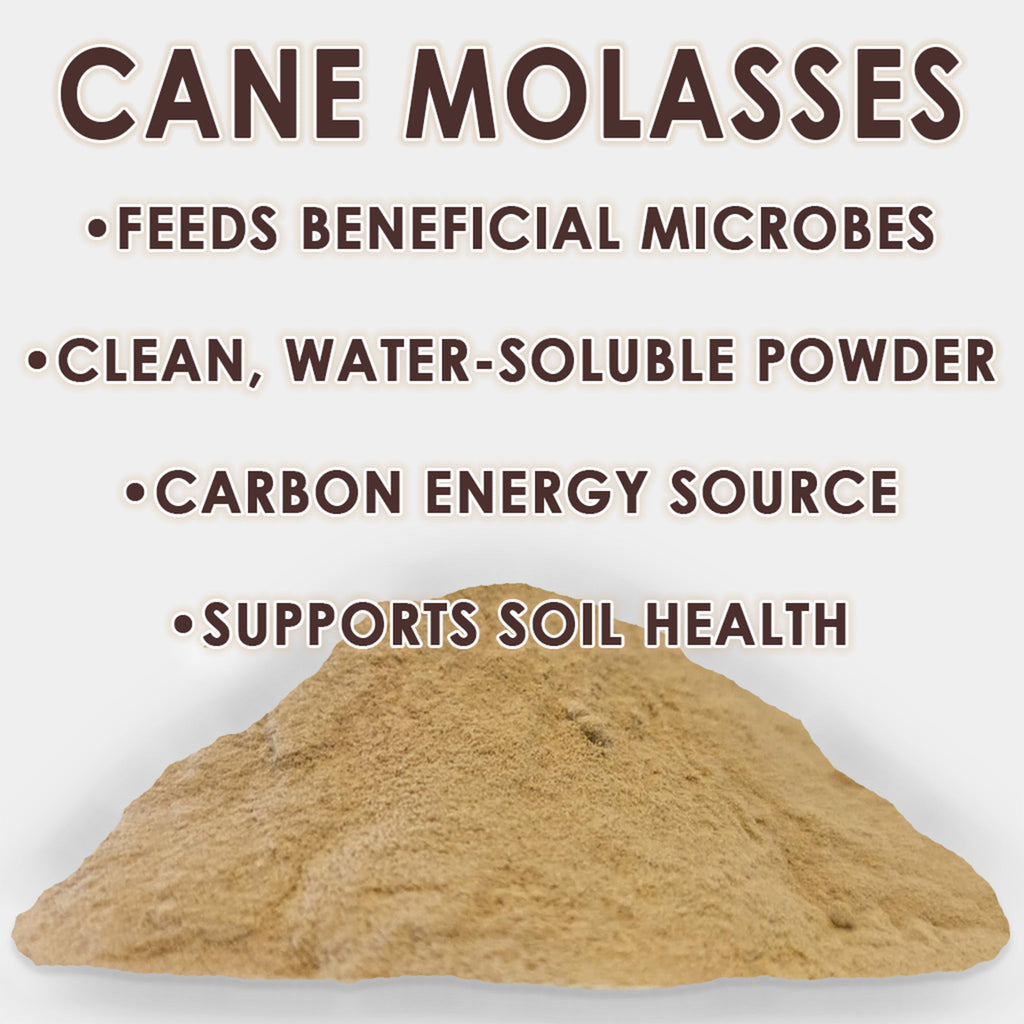 RAW Cane Molasses | Water-Soluble Microbe Food | Concentrated Powder