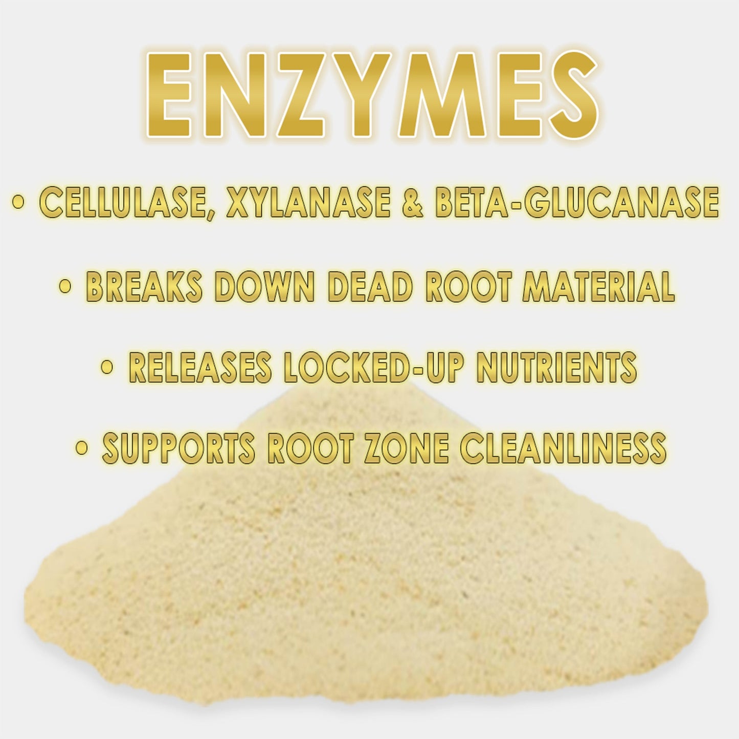 RAW Enzymes | Cellulase, Xylanase & Beta-Glucanase | Water-Soluble Supplement