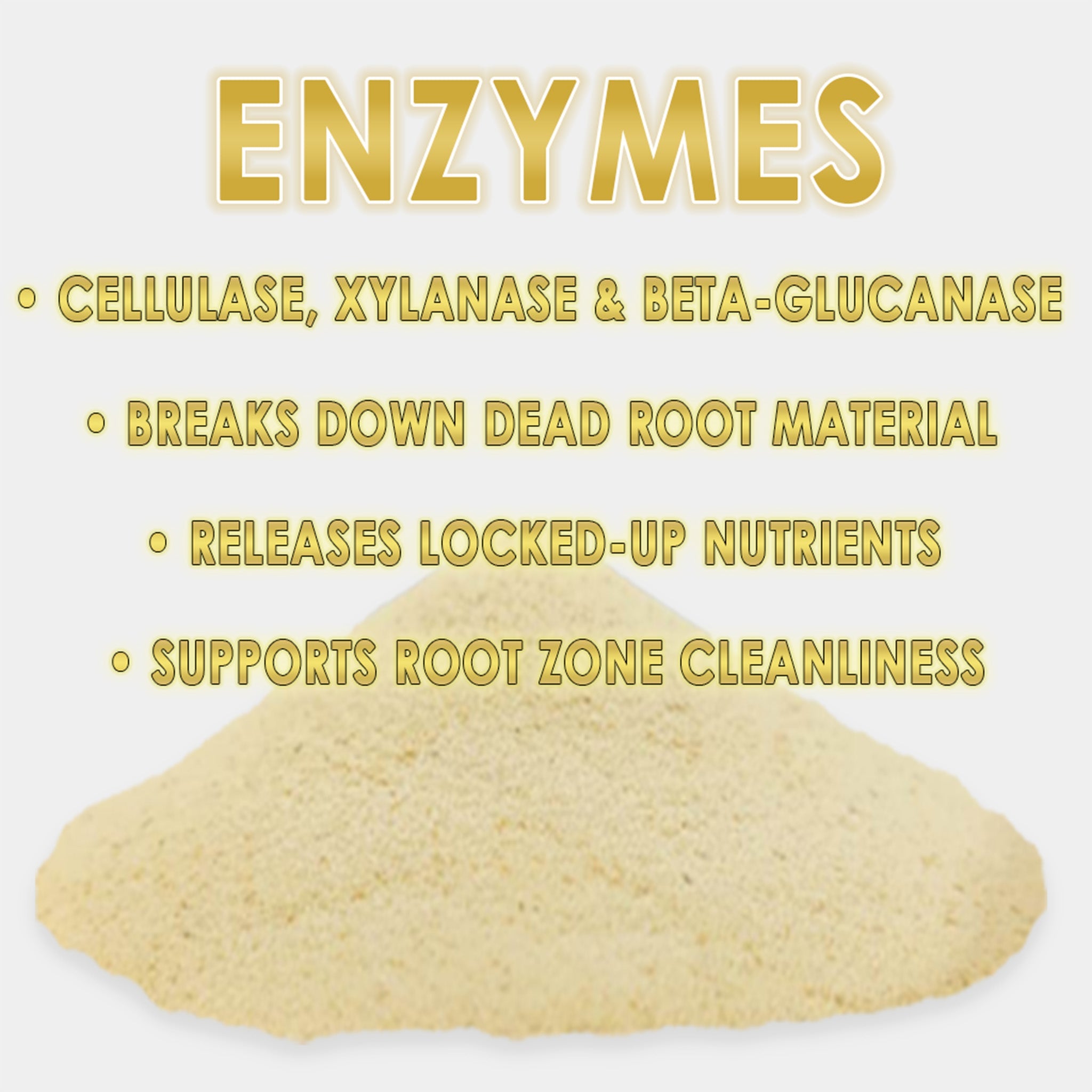 RAW Enzymes | Cellulase, Xylanase & Beta-Glucanase | Water-Soluble Supplement