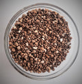 Gypsum