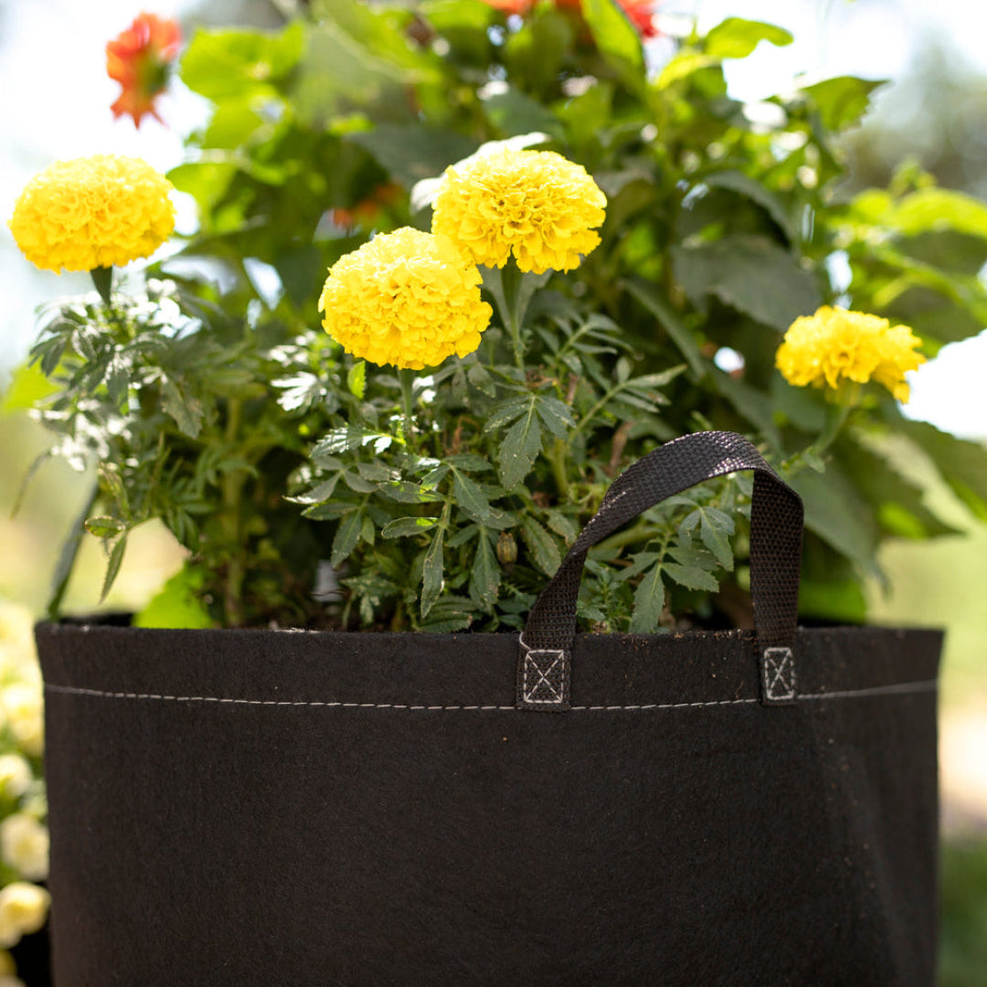 G-Lite Grow Bags with Handles