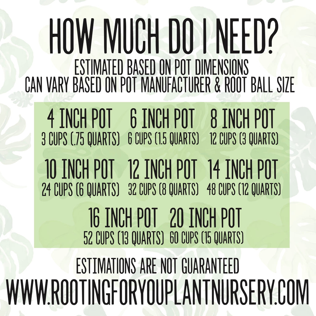Tomato Plant Premium Potting Mix