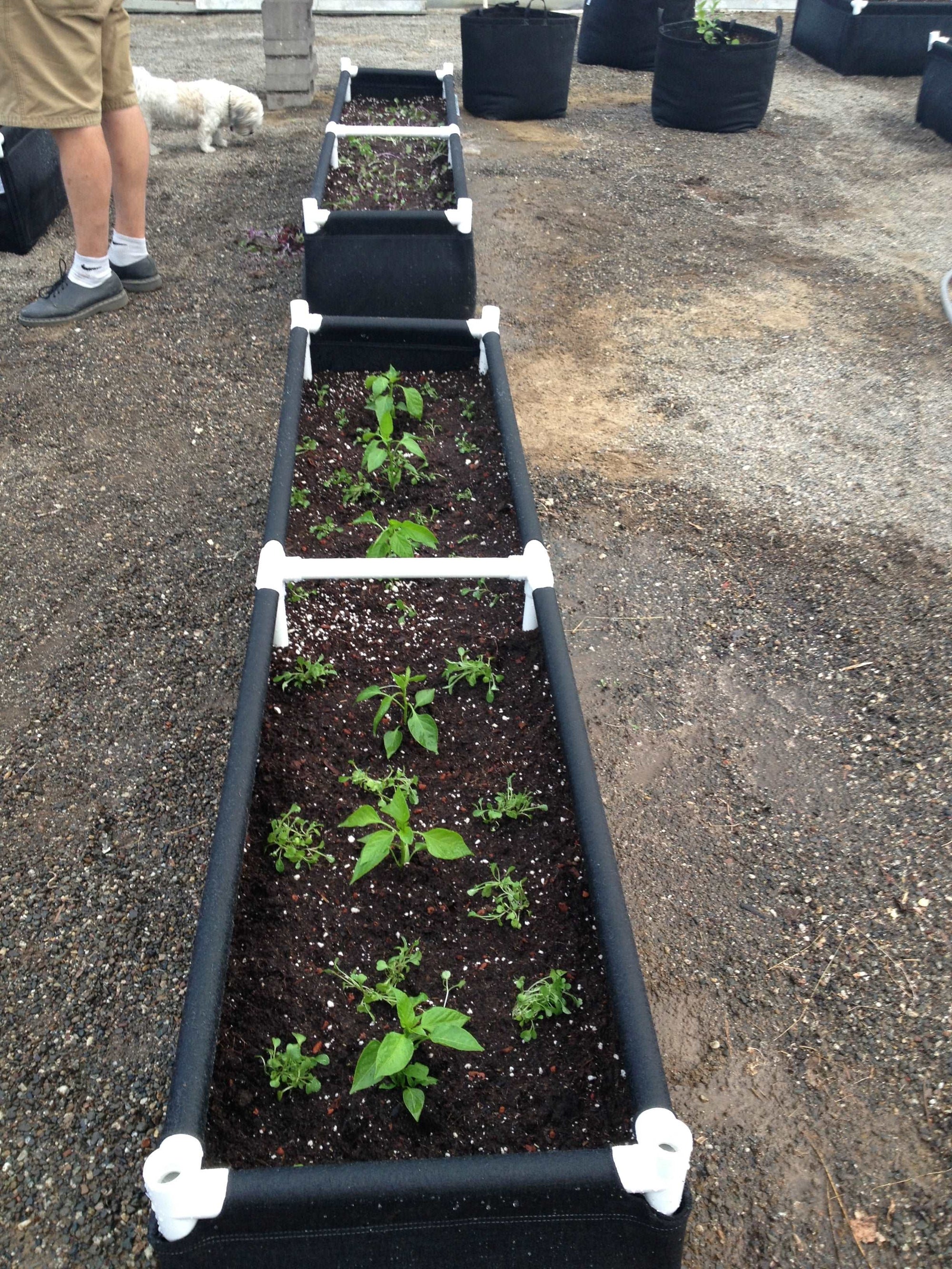GeoPlanter Fabric Raised Beds