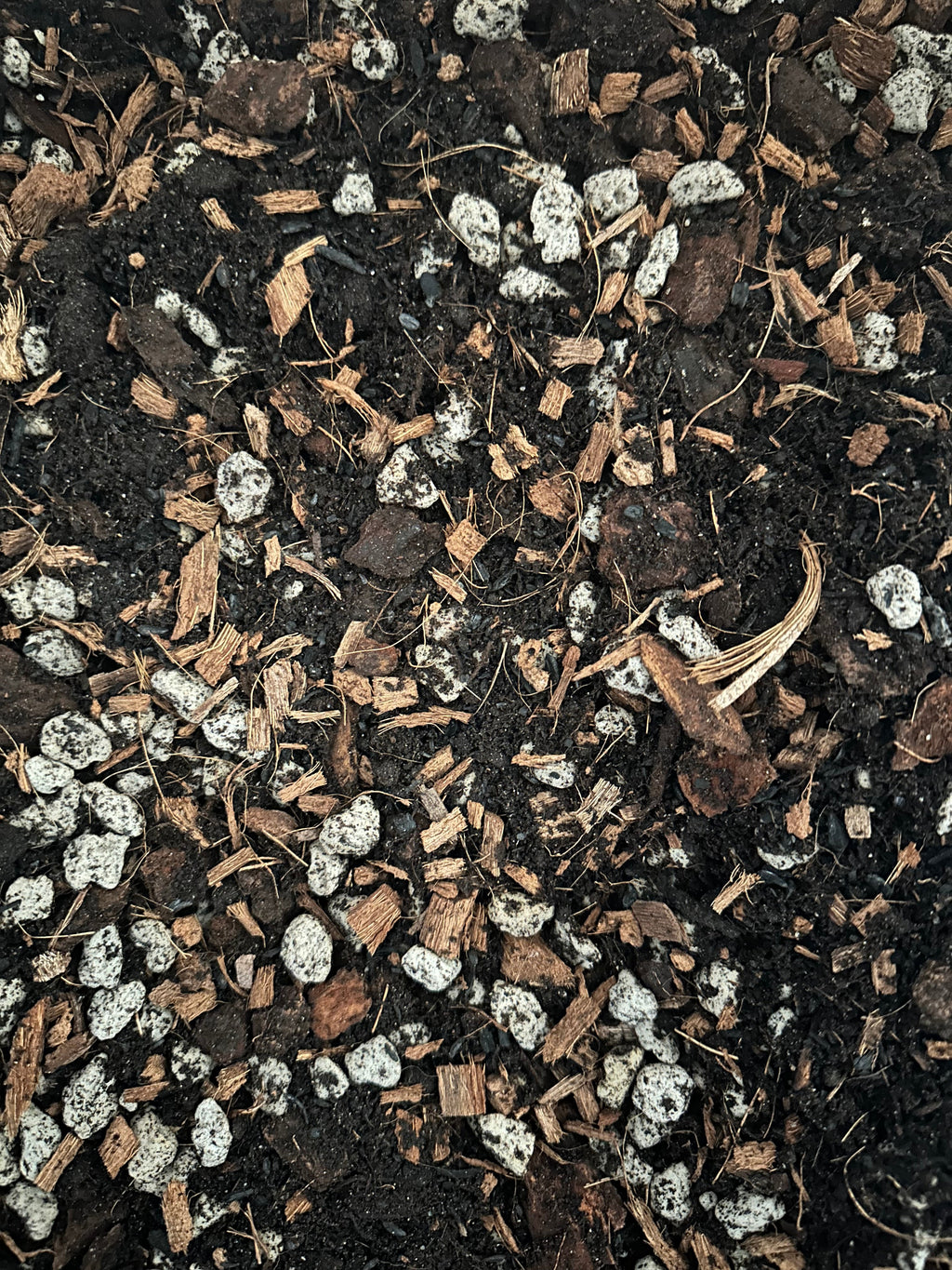 Premium Super Chunky Extra Grit Houseplant Soilless Potting Mix - Perfect for Overwaterers!