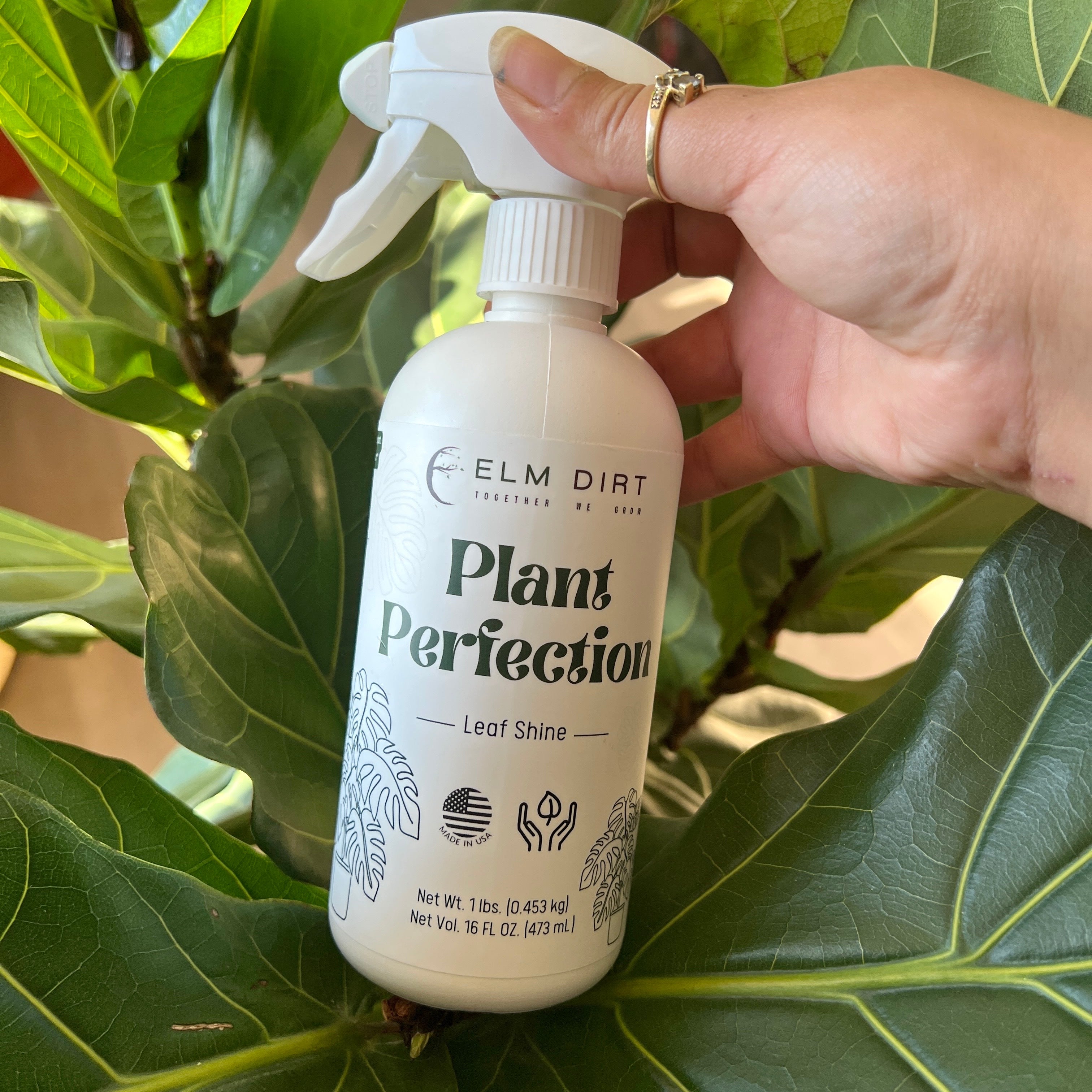 Plant Perfection