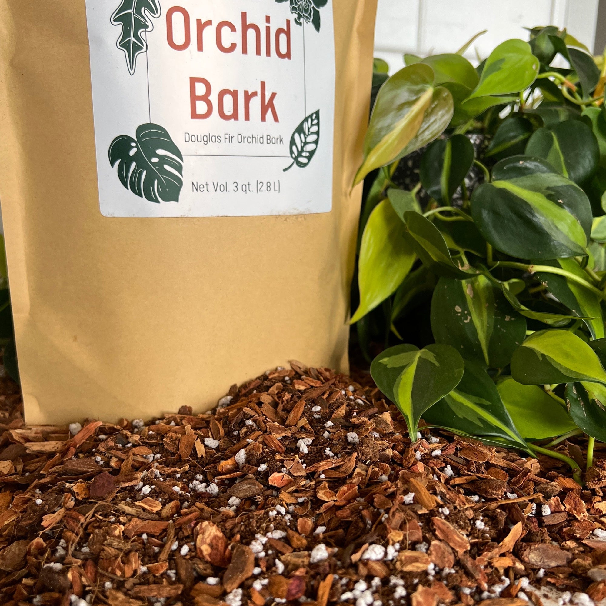 Orchid Bark