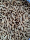 Organic Black Soldier Fly Larvae