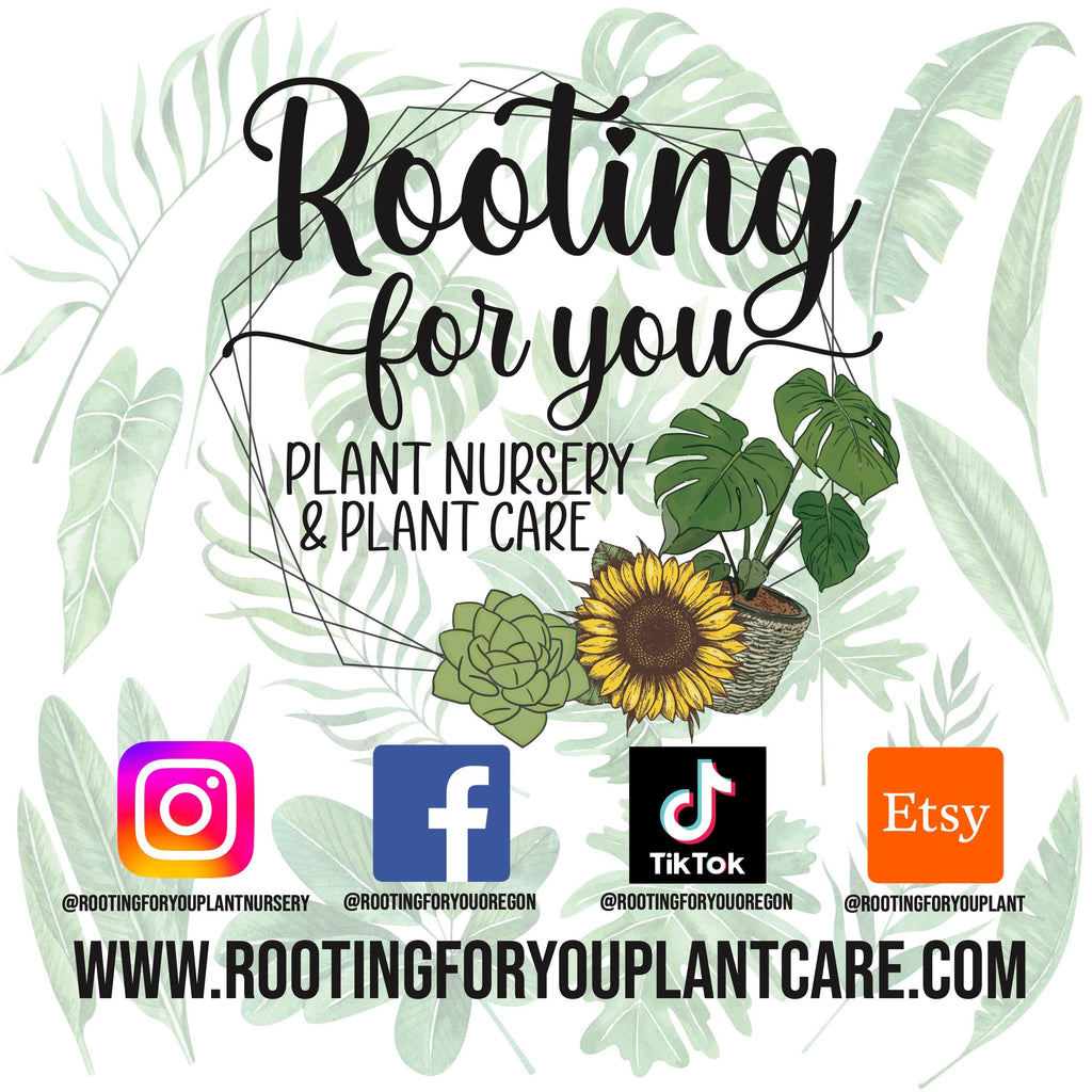 Tomato Plant Premium Potting Mix