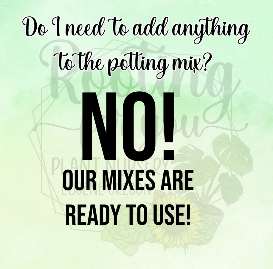 Premium Super Chunky Extra Grit Houseplant Soilless Potting Mix - Perfect for Overwaterers!