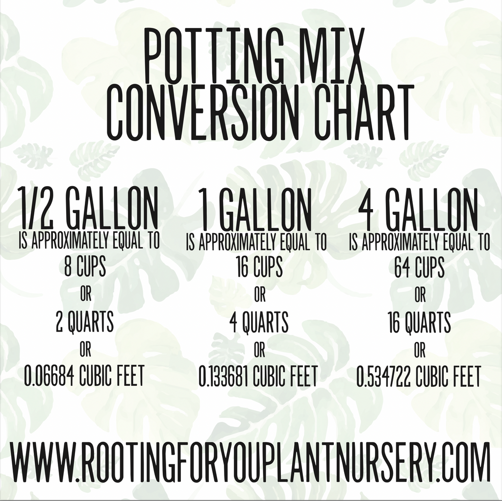 Premium Super Chunky Extra Grit Houseplant Soilless Potting Mix - Perfect for Overwaterers!