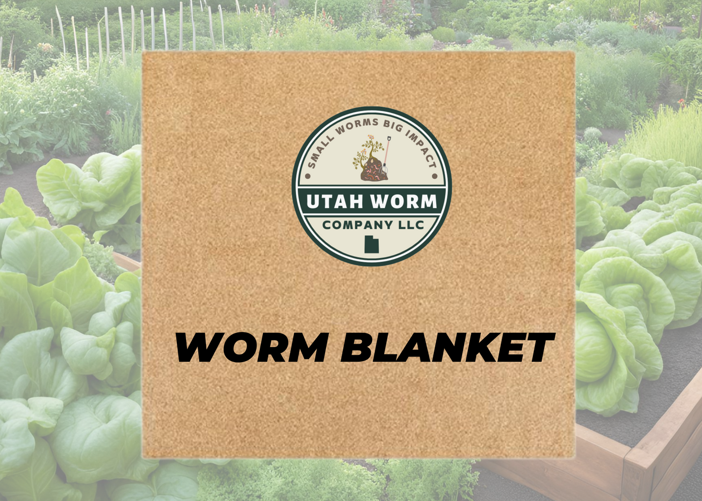 Worm Blanket