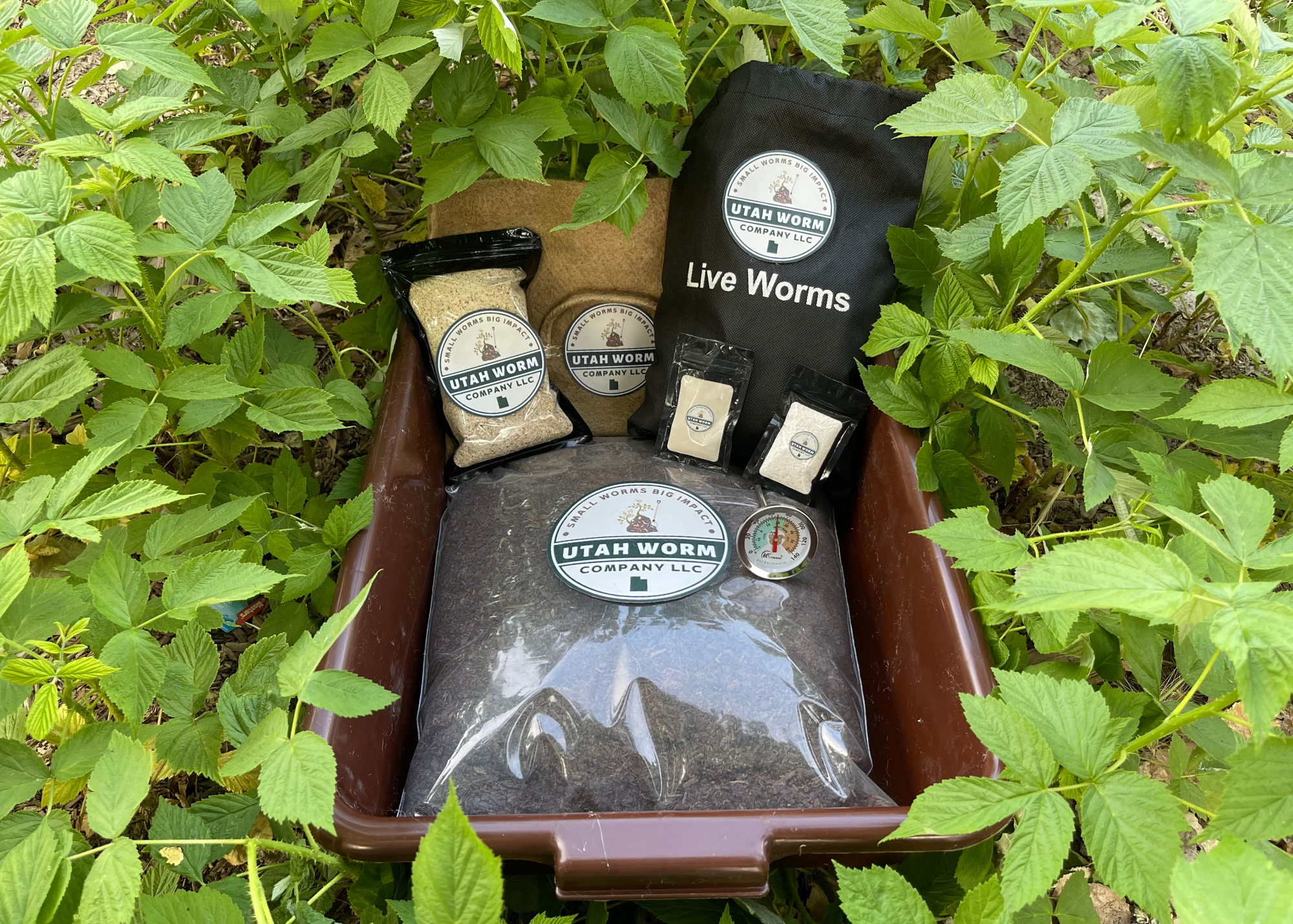 "The Wormlet" Worm Composting Kit
