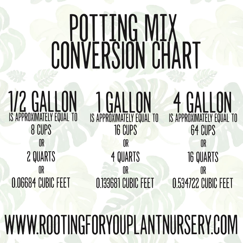 Tomato Plant Premium Potting Mix