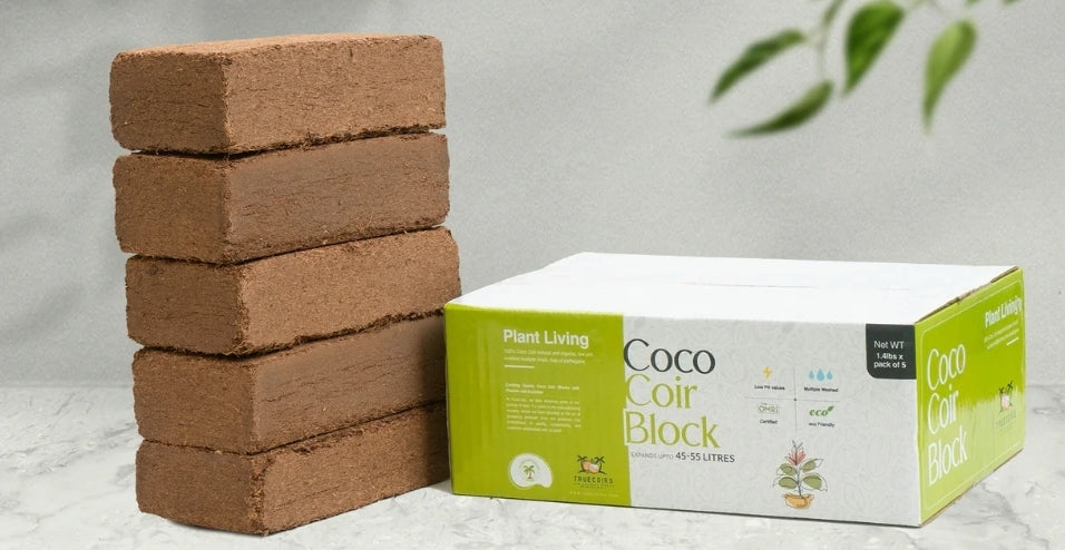 5 Coco Coir Blocks