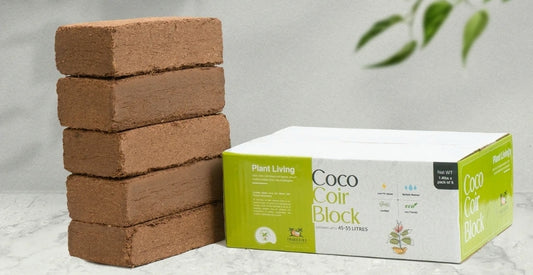 5 Coco Coir Blocks