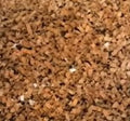 Shredded Cardboard (Worm Bedding Medium)